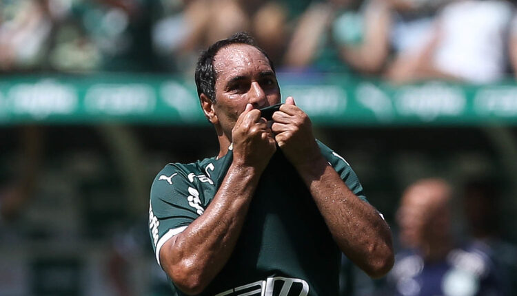 Palmeiras De Foi Eleito Como Um Dos Melhores Sul Americanos Da