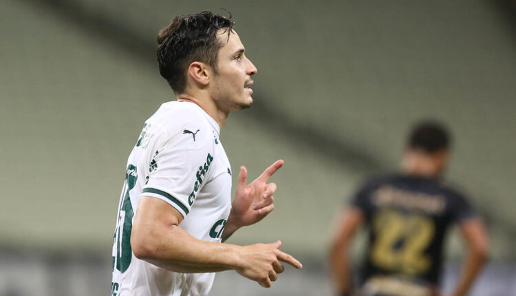 Palmeiras Veiga