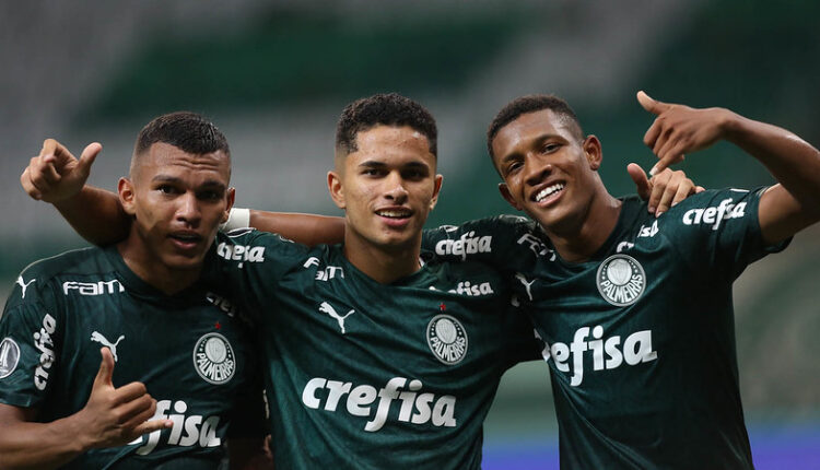 Palmeiras