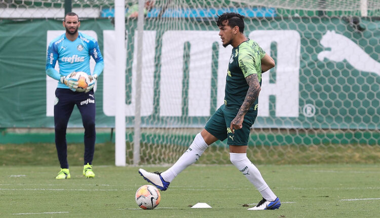 Palmeiras