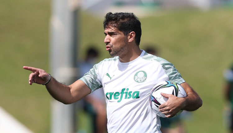 Abel Palmeiras