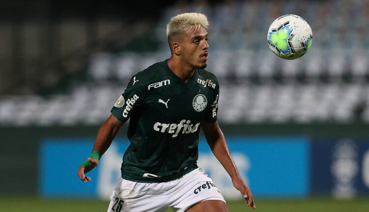 Palmeiras Menino