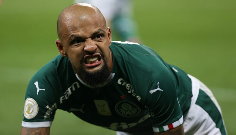 Palmeiras palmeirenses