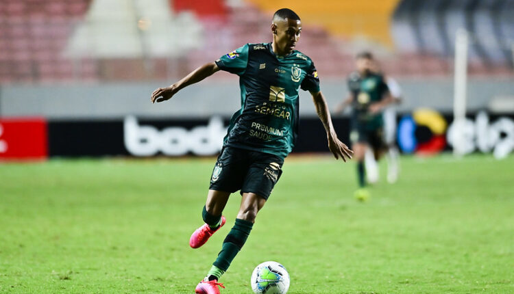 Palmeiras Ademir