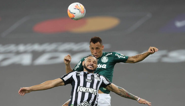 Breno Lopes Palmeiras x Santos
