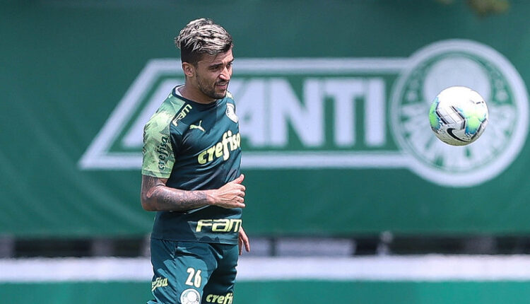 Palmeiras Viña Uruguai