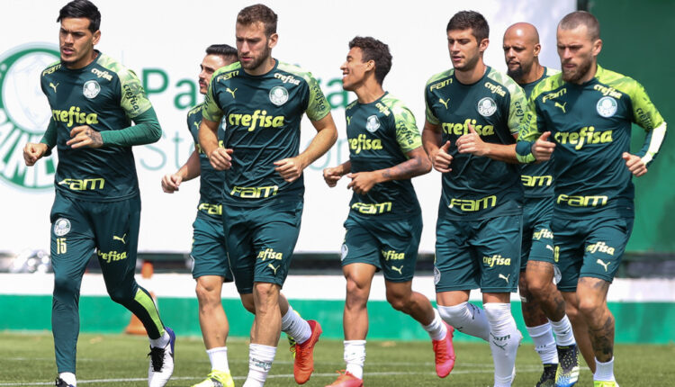 Palmeiras