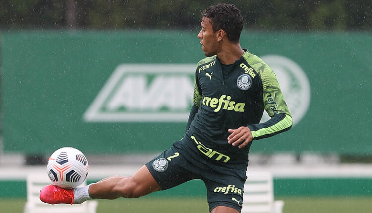 Marcos Rocha Palmeiras