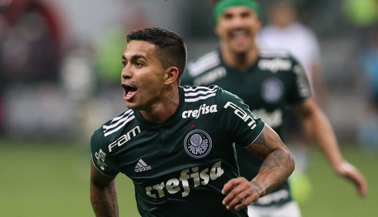 Dudu Palmeiras