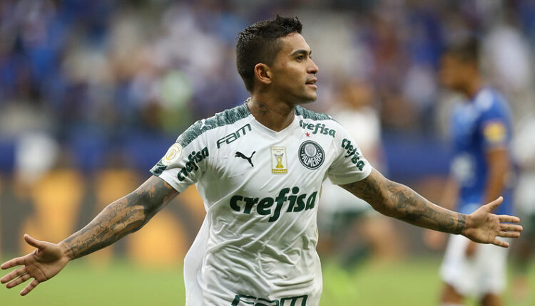 Palmeiras Dudu