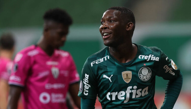 Patrick de Paula Palmeiras