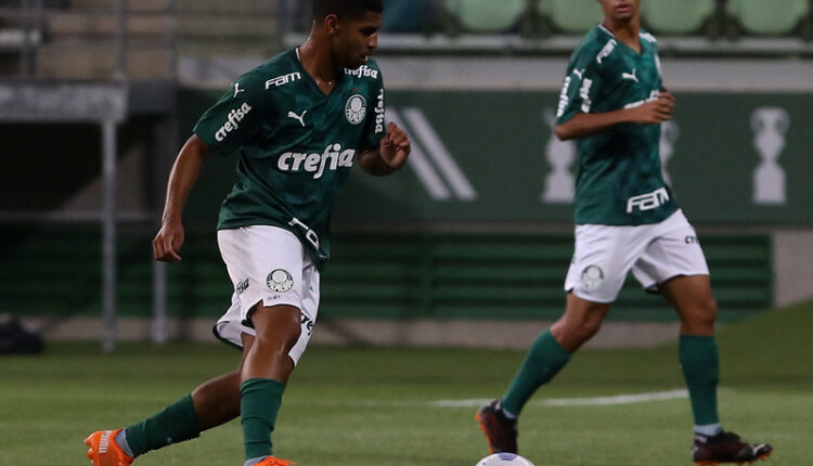 Botafogo X Palmeiras Veja Como Assistir Ao Brasileir O Sub Ao Vivo Di Rio Do Verd O