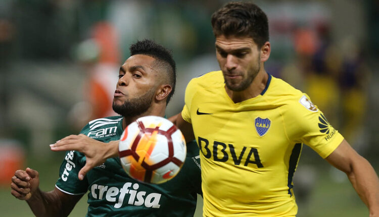 Palmeiras Borja