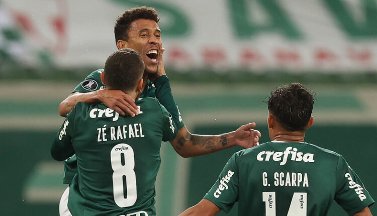 Palmeiras Brasileiro