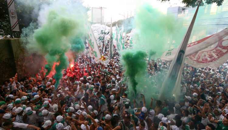 Palmeiras palmeirenses