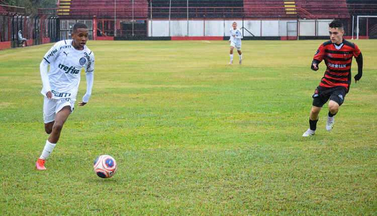 Palmeiras Estevão Willian