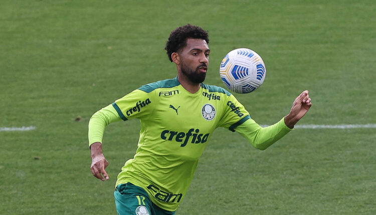 Matheus Fernandes Palmeiras