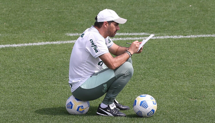 Abel Palmeiras