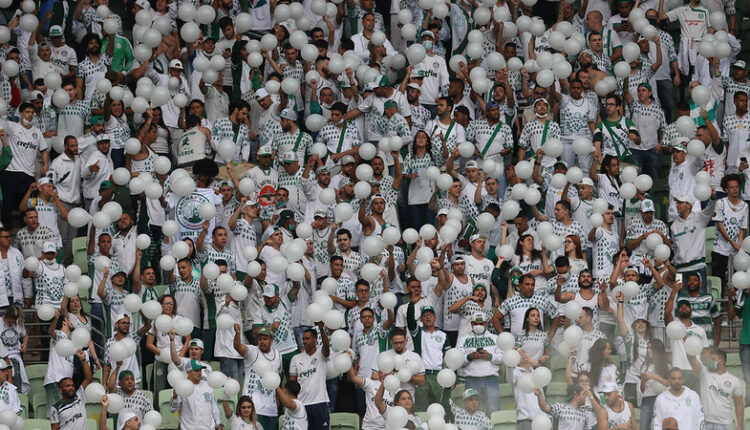 Palmeiras Mancha