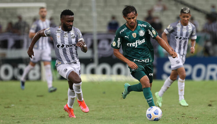 Scarpa Palmeiras CBF Série A