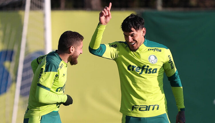 Gustavo Gómez Palmeiras