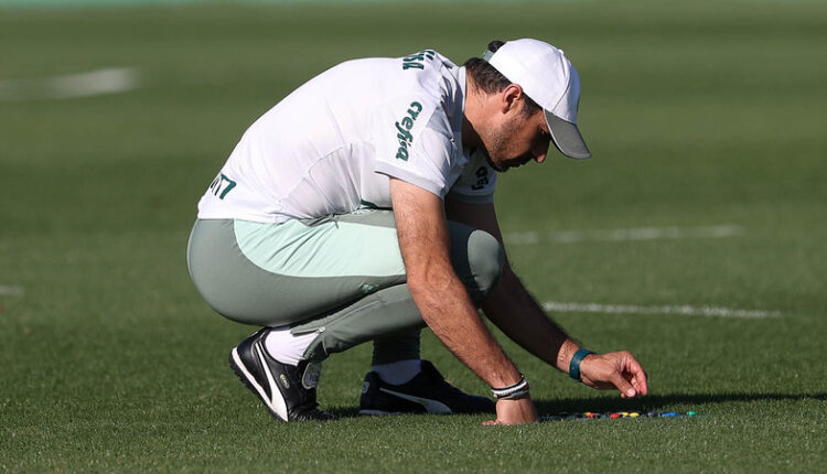 Abel Palmeiras Guarani