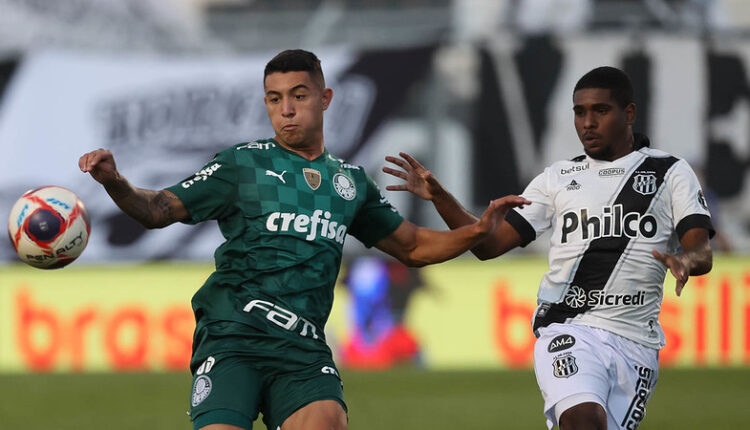 Palmeiras Pedro Bicalho