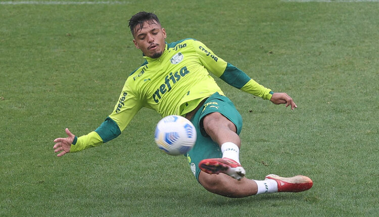 Gabriel Menino Palmeiras