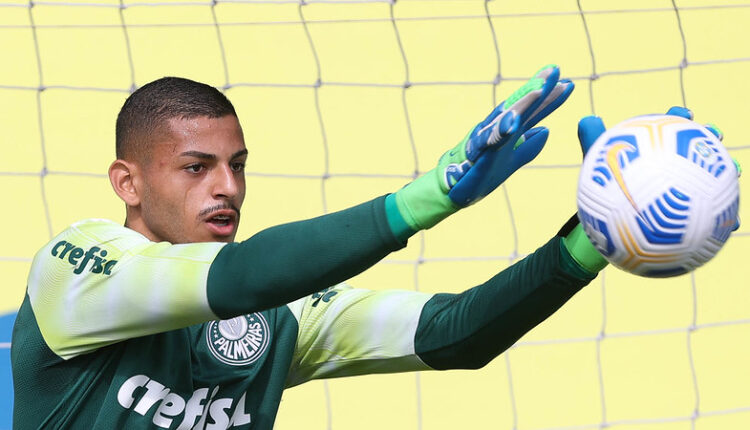 Seleção Palmeiras
