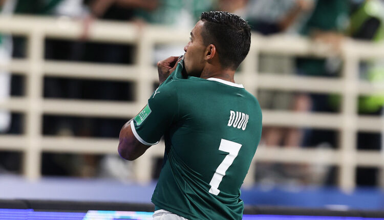 Palmeiras Dudu