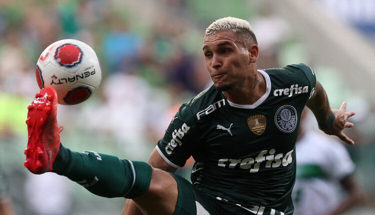 Navarro centroavante Palmeiras