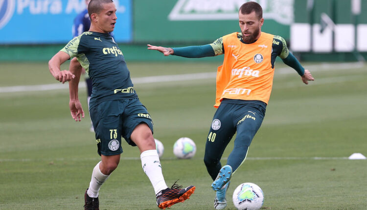 Palmeiras