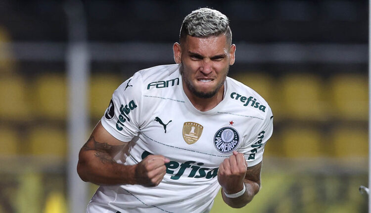 Palmeiras Navarro Santos
