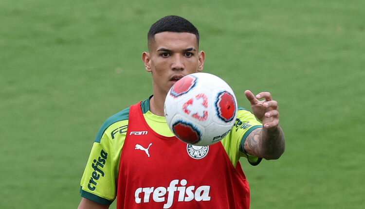 Palmeiras Abel Naves