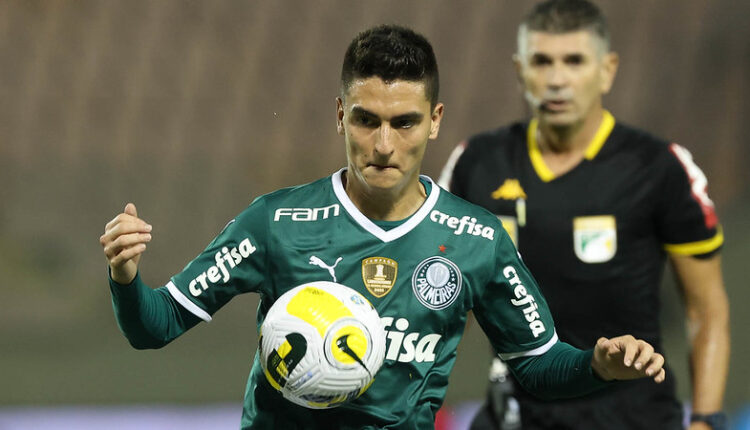 Palmeiras Abel Atuesta