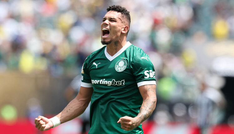 Palmeiras Paulinho