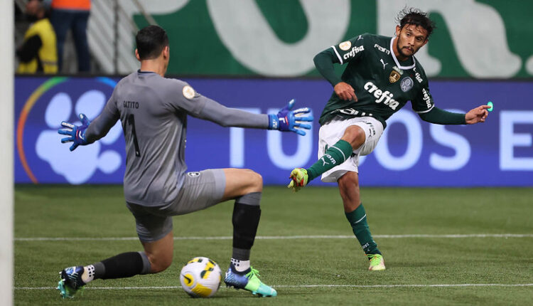 Palmeiras Brasileirão