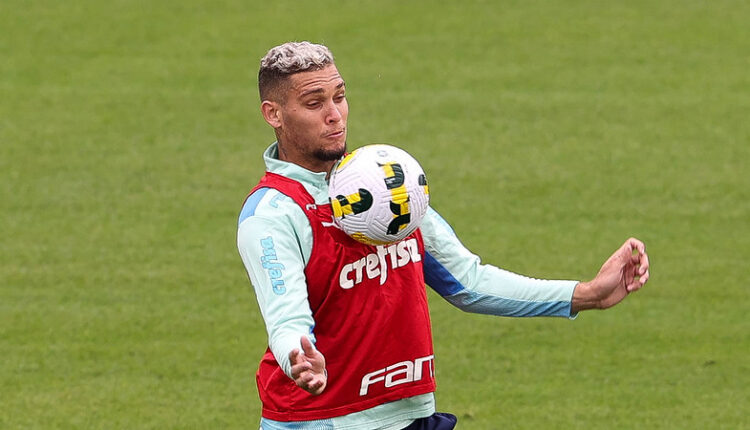 Navarro Santos Palmeiras