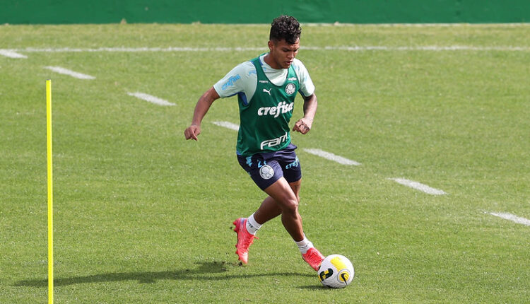 Palmeiras
