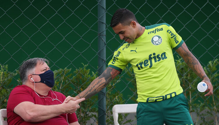 Palmeiras