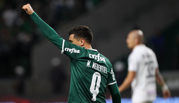 Palmeiras Merentiel