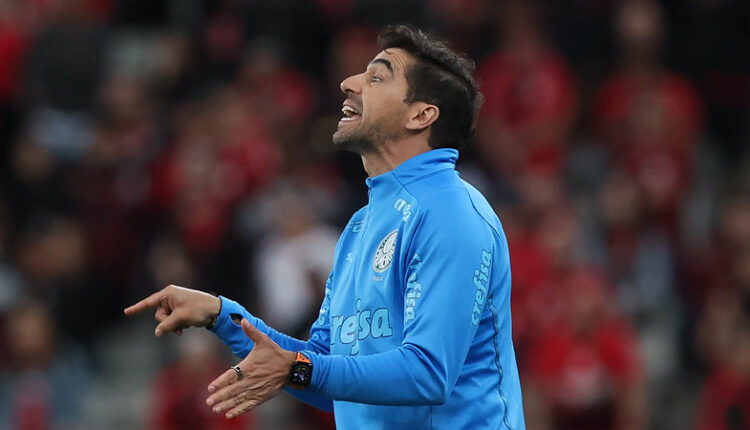 Palmeiras Abel Água