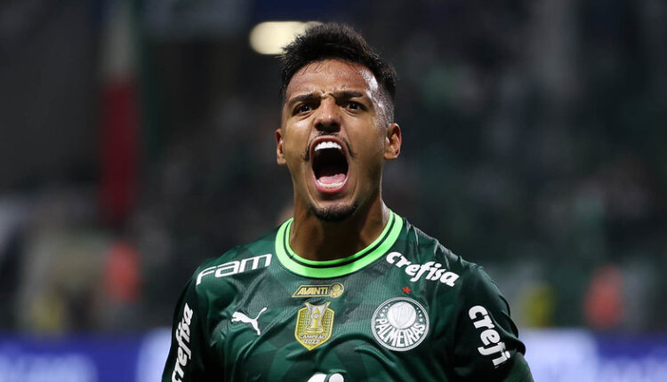 Menino Palmeiras