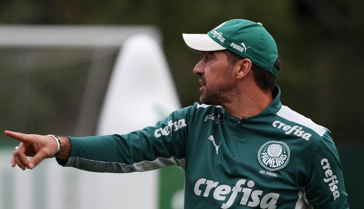 Abel Palmeiras