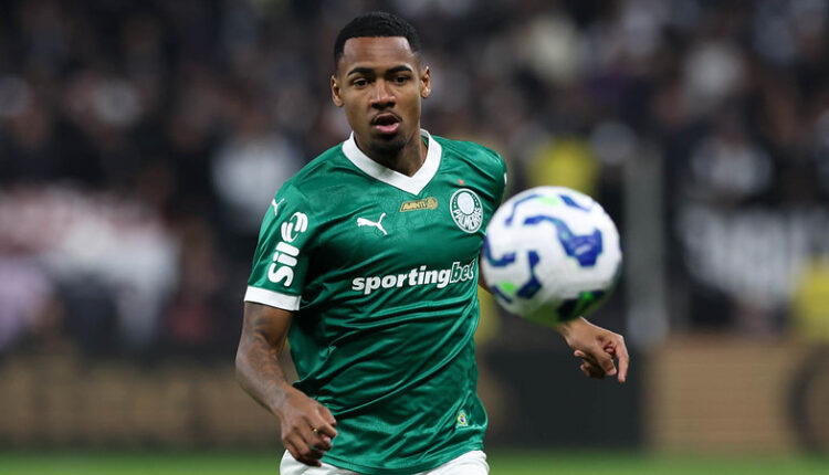 Palmeiras Allan